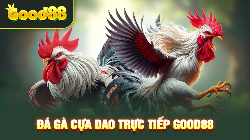 Đá Gà Cựa Dao Trực Tiếp Good88