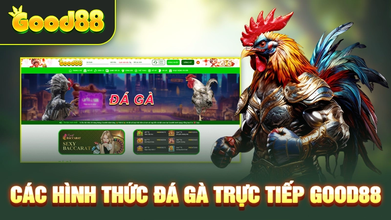 Các hình thức đá gà trực tiếp Good88